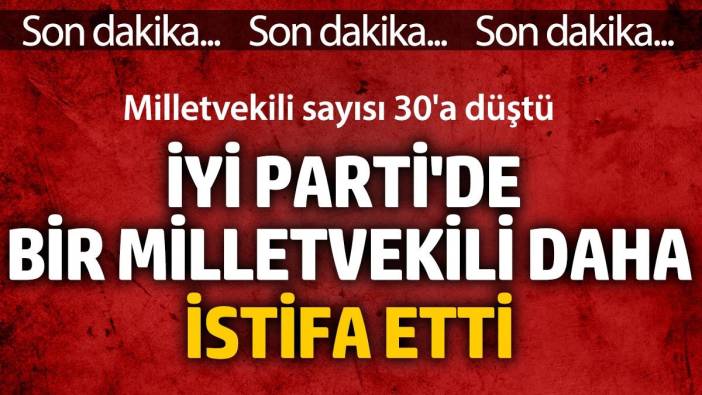 İYİ Parti'de bir milletvekili istifa etti