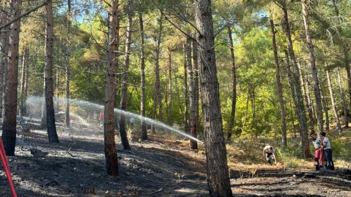 Samsun’da orman yangını çıktı