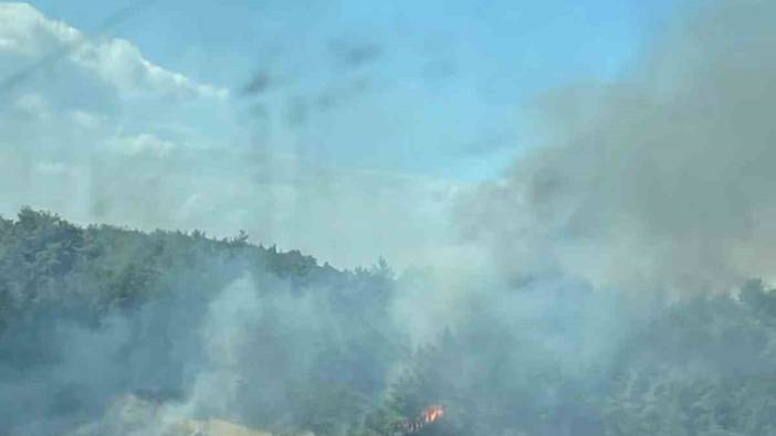 Bursa'da ormanlık alanda yangın çıktı