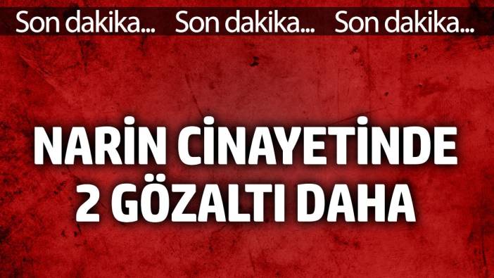 Narin cinayetinde 2 gözaltı daha