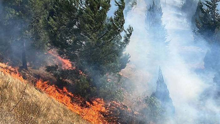 Kahramanmaraş’ta Şehitler Koruluğu’nda çıkan yangın söndürüldü