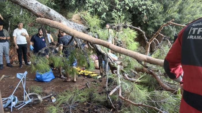 Muğla'da kuvvetli rüzgarda ağaç devrildi: 3 yaralı