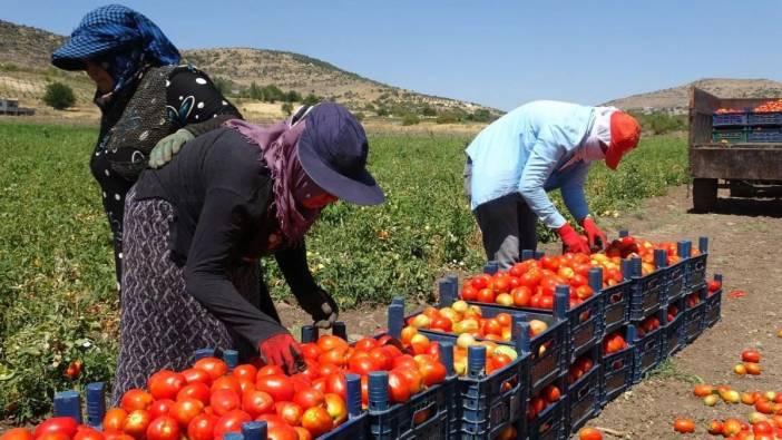 Tarımda enflasyon düşmüş hissettiniz mi ? TÜİK açıkladı