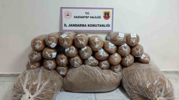 Gaziantep’te 500 kilo kaçak tütün ele geçirildi