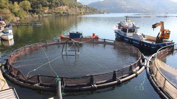 Su ürünleri yetiştiricilerine destek açıklaması