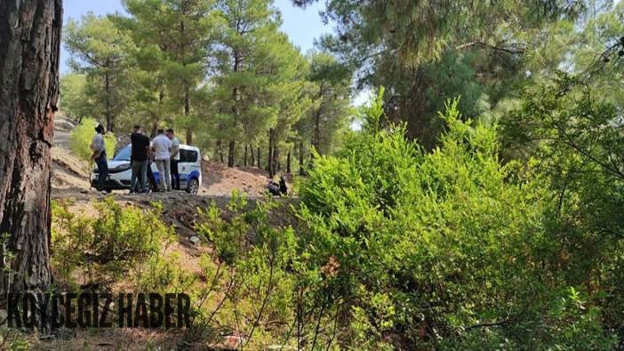 Bebeğin ormana terk edilmesine ilişkin 2 şüpheliye gözaltı