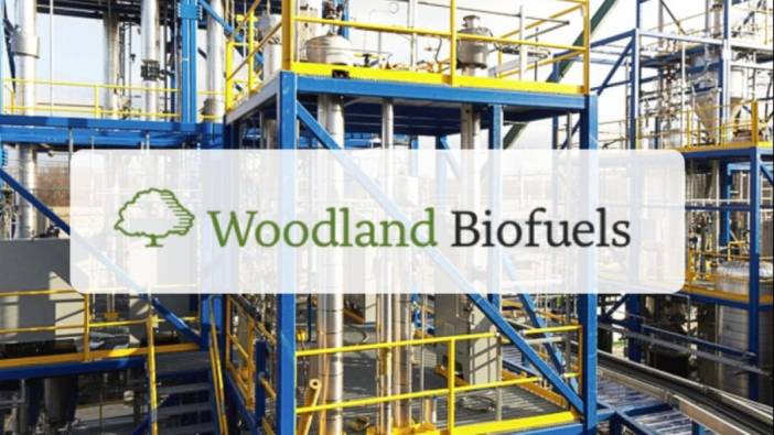 Woodland Biofuels, 1,35 milyar dolarlık yatırımını duyurdu