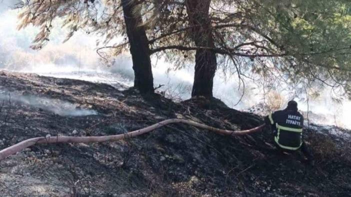 Antakya’da örtü yangını