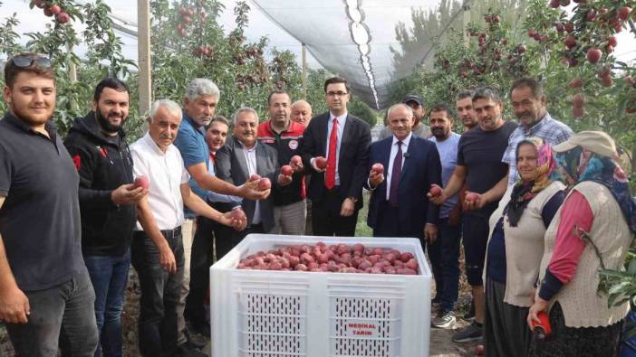 Yahyalı’da elma hasadı