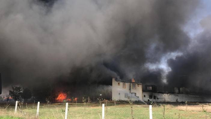 Tekirdağ’da fabrika yangını! Alevler her yeri sardı