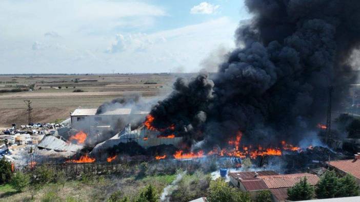 Tekirdağ'da fabrika yangını