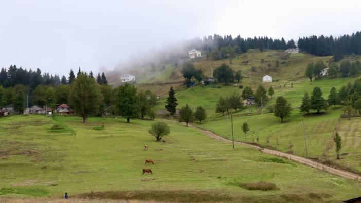 Doğu Karadeniz yaylalarında besicilerin dönüş yolculuğu başladı