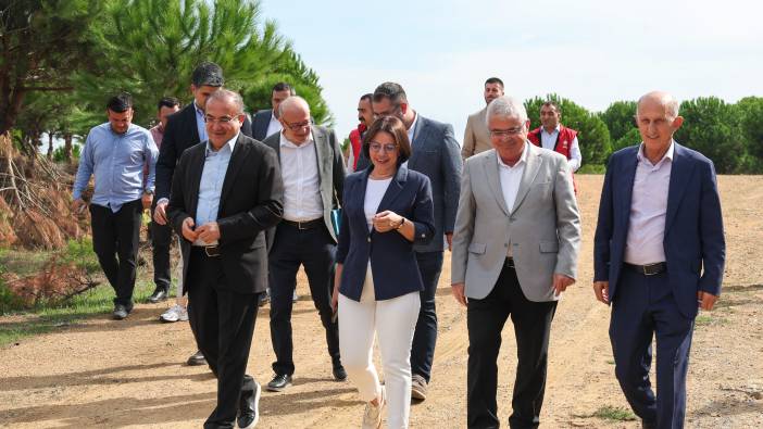 Maltepe Belediyesi sokak hayvanları için bakım evi kuruyor