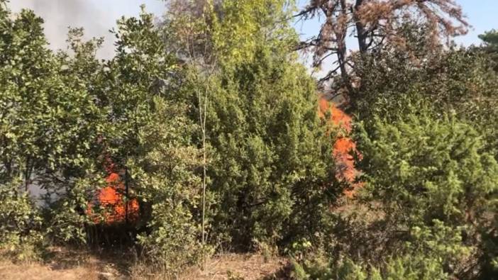 Uzunköprü’de ormanlık alanda yangın