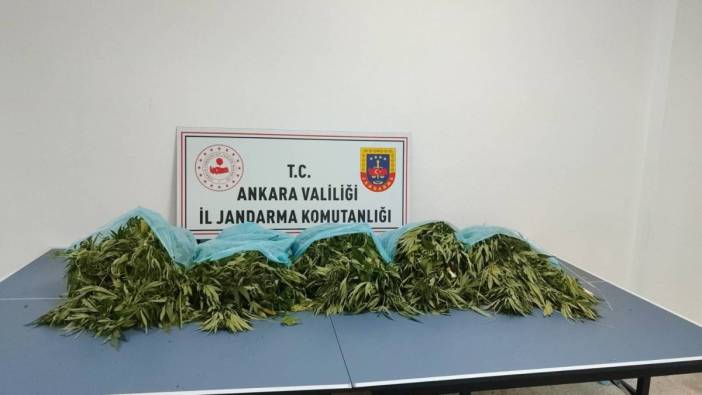 Ankara’da narkotik operasyonu. 25 kilogram kubar esrar ele geçirildi