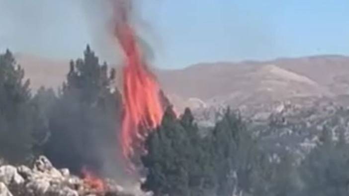 Kahramanmaraş'ta orman yangını