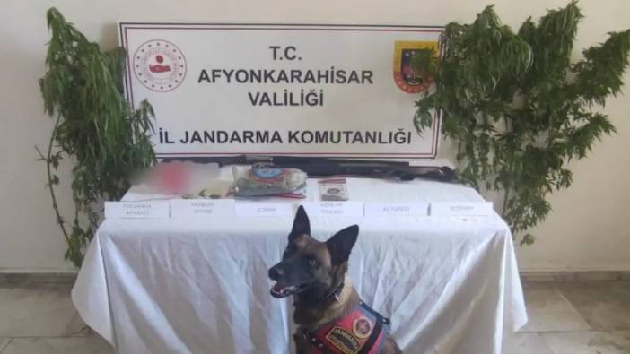 Jandarmadan uyuşturucu operasyonu:6 gözaltı