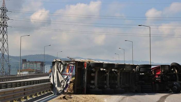 Samsun'da arı sokan tır şoförü kaza yaptı