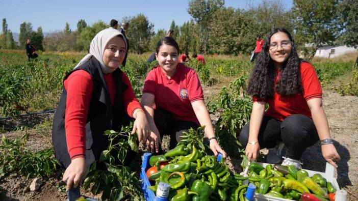 Erzincan'da hem öğreniyor hem üretiyor hem de kazanıyorlar