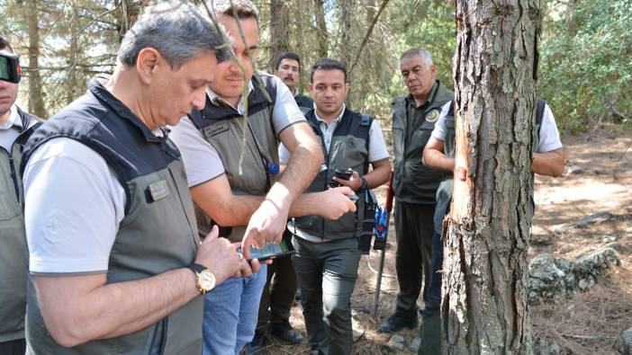 Orman ürünlerine barkod sistemi