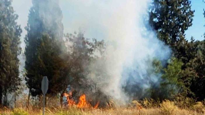 Muğla'nın Stratonikeia antik kentinde yangın