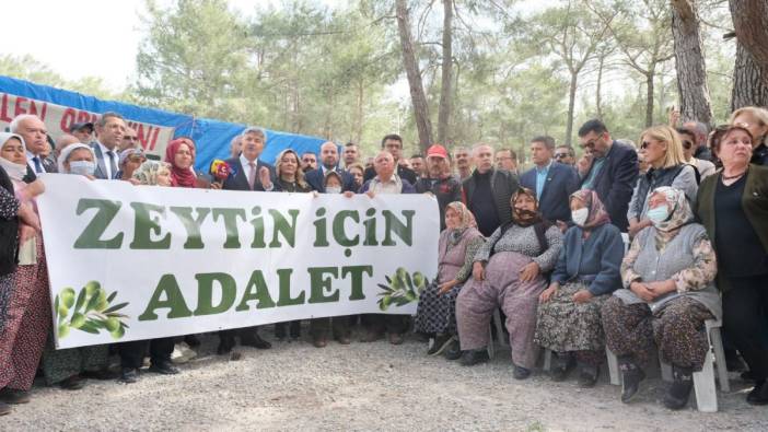 İYİ Parti dava açtı. Zeytinler kurtuldu