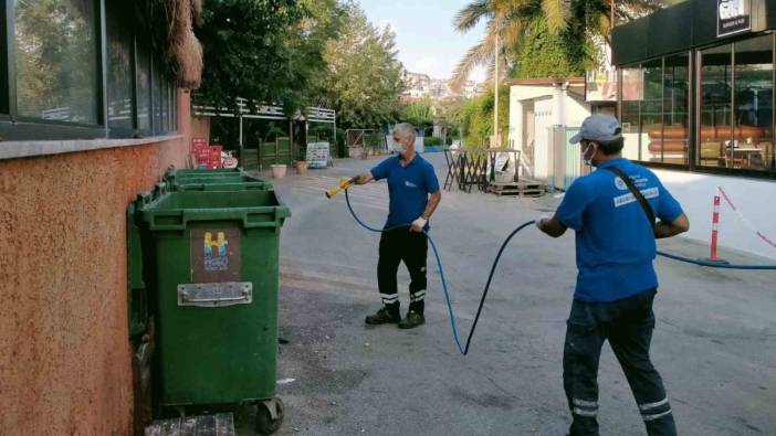 Alanya'da sinek ve haşere operasyonu: 102 mahallede büyük temizlik