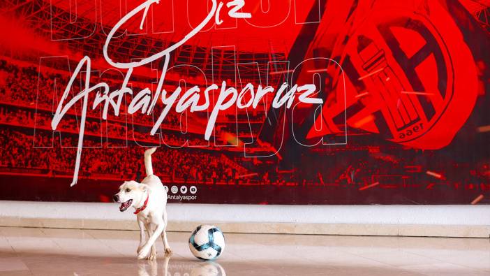 Antalyaspor’un yeni misafiri! ’Akrep’