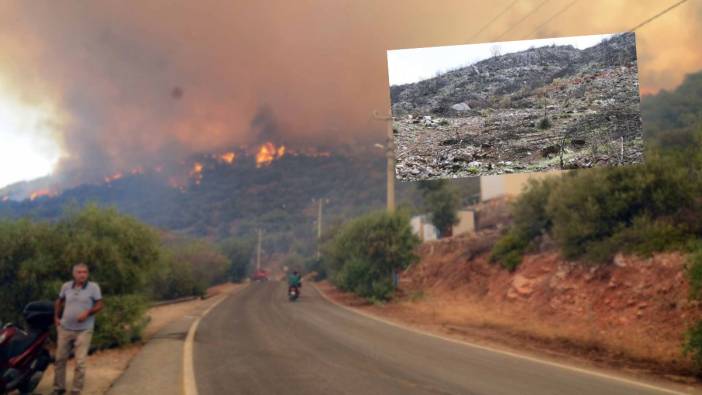 Bodrum'da yanan orman alanı ranta kurban ediliyor! Bu kez talihli şirket kim oldu?