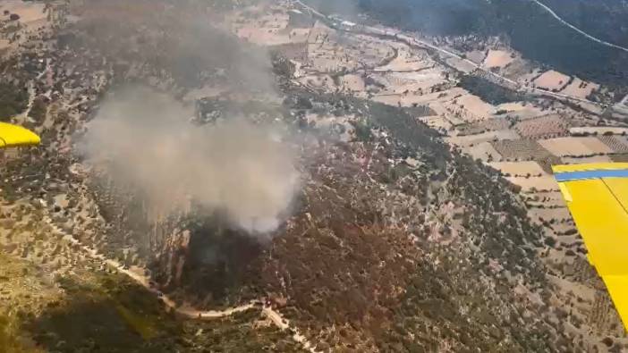 Seydikemer'de zirai yangın ormanlık alana sıçradı