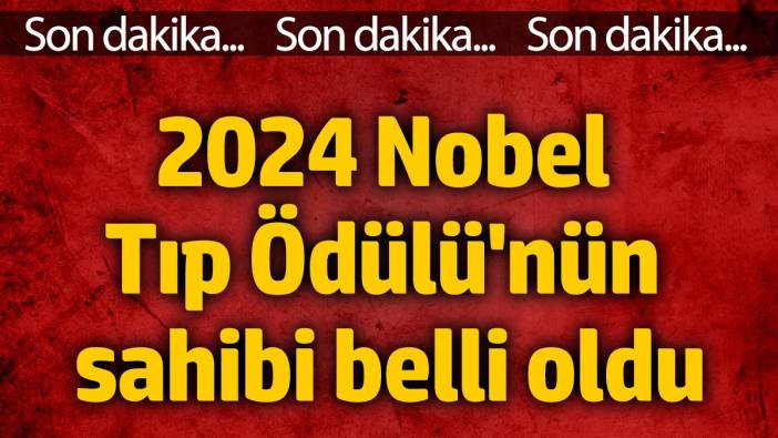 2024 Nobel Tıp Ödülü'nün sahibi belli oldu