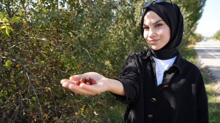 Doğal şifa deposu! Bağışıklık sistemini güçlendiriyor