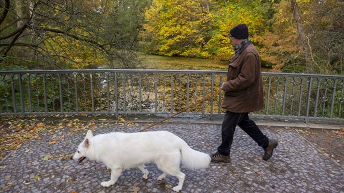 Almanya'da belediyeler köpek vergisinde rekor kırdı