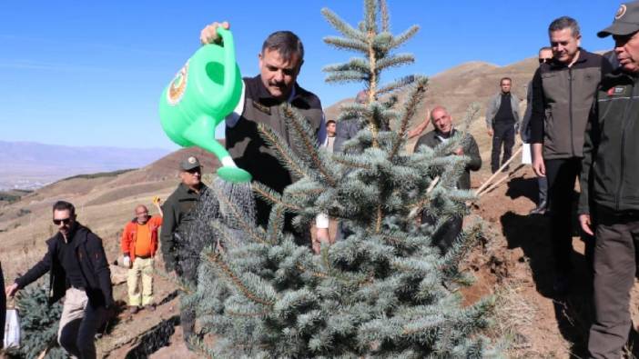 Erzurum Palandöken’de 60 bin fidan toprakla buluştu