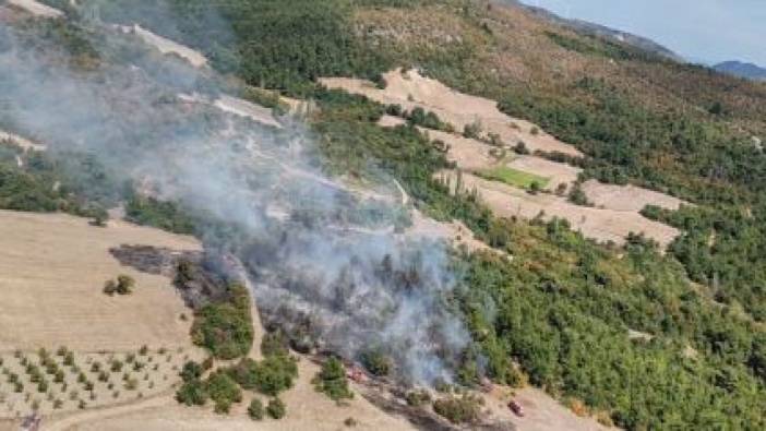 Manisa'da orman yangını