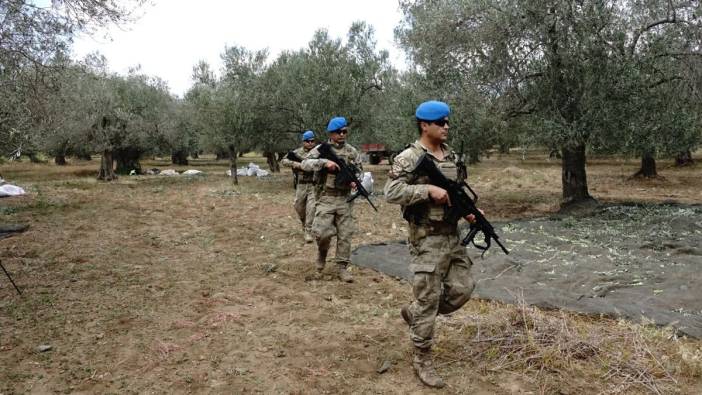 Jandarmadan gece gündüz zeytin nöbeti. Havadan karadan denetliyorlar