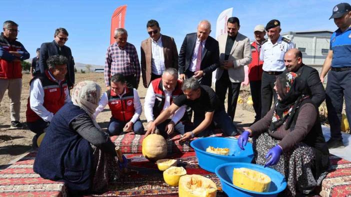 Kabak çekirdeği hasadı yapıldı