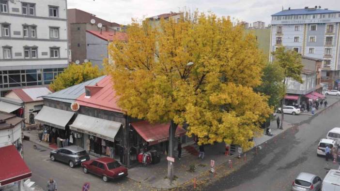 Kars’ta sonbahar güzelliği