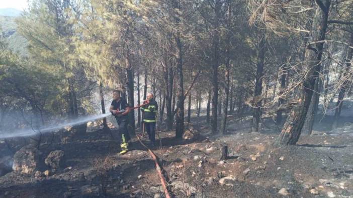 Antakya’da orman yangını korkuttu