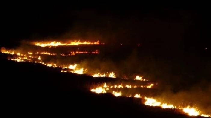 Hakkari Yüksekova’da kuş cenneti alev alev yandı