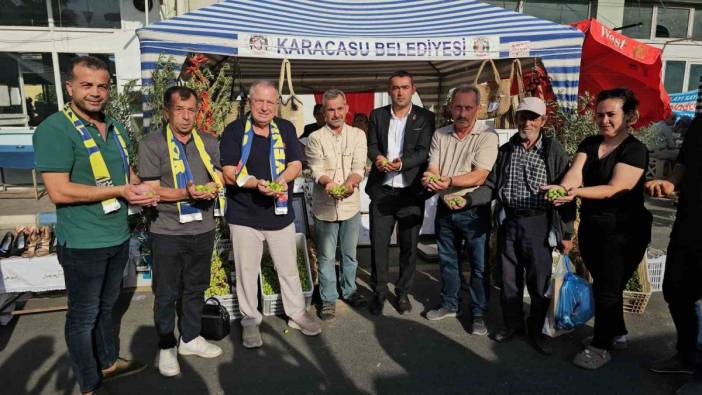 Karacasu Zeytin festivali başladı