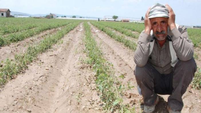 Türkiye Ziraatçılar Derneği Başkanı açıkladı: İşte çiftçinin duymaktan  korktuğu kelimeler