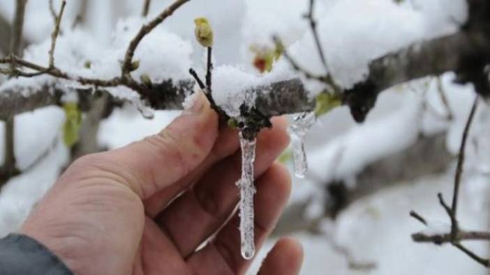 Meteoroloji'den 5 il için don uyarısı