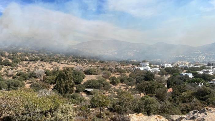 Bodrum’da maki yangını! 5 hektar alan zarar gördü