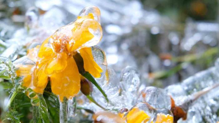 Meteoroloji'den Bayburt için soğuk ve don uyarısı