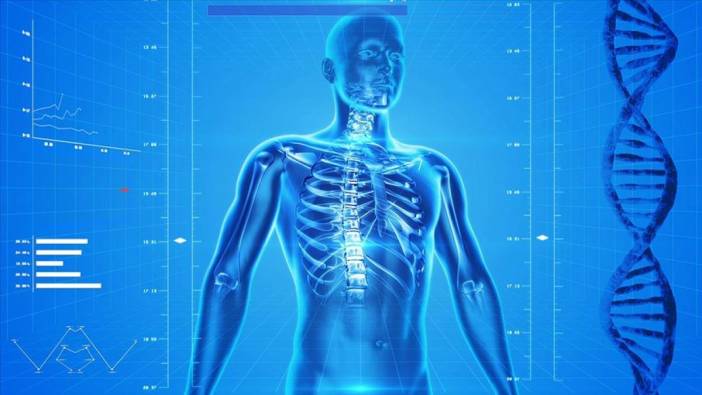 Kemiklerdeki sessiz tehlike: Osteoporoz