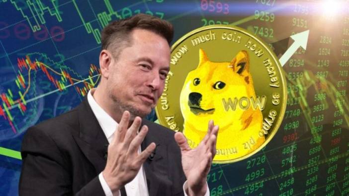 Elon Musk'ın tweeti Dogecoin'i uçuşa geçirdi