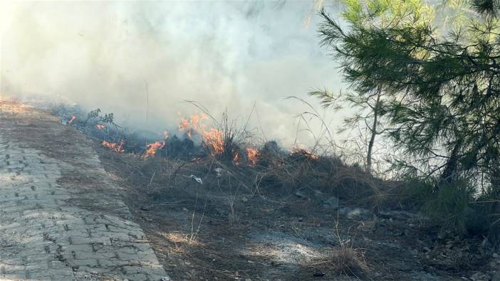 Antalya'da orman yangını