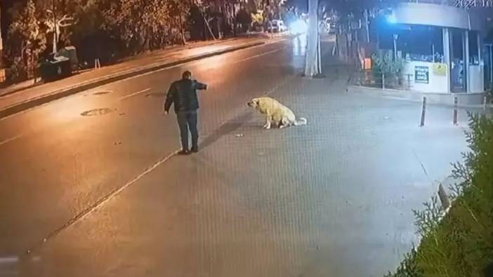 Bahçelievler’de tabanca ile köpeği korkutan şüpheli tutuklandı