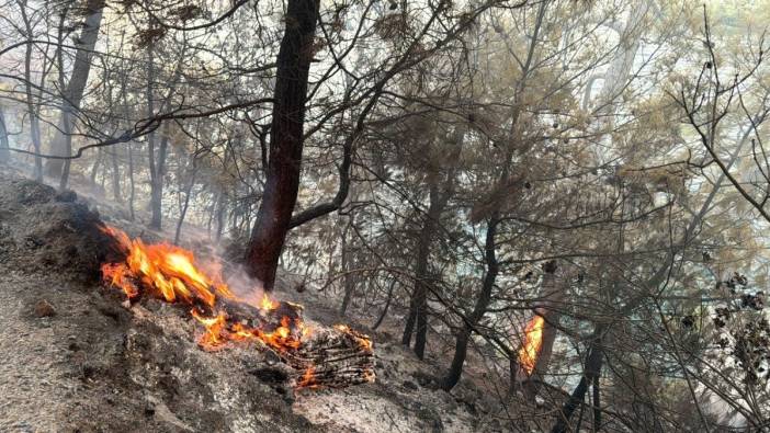 Dalaman'da çıkan orman yangını söndürüldü